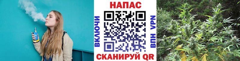 где купить наркотик  Островной  Конопля гибрид 